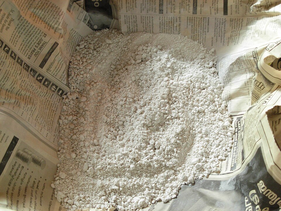 Arrowroot