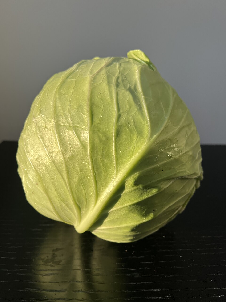 Cabbage
