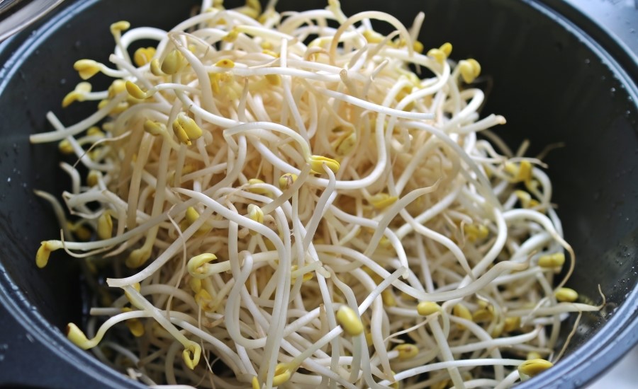 Kongnamul