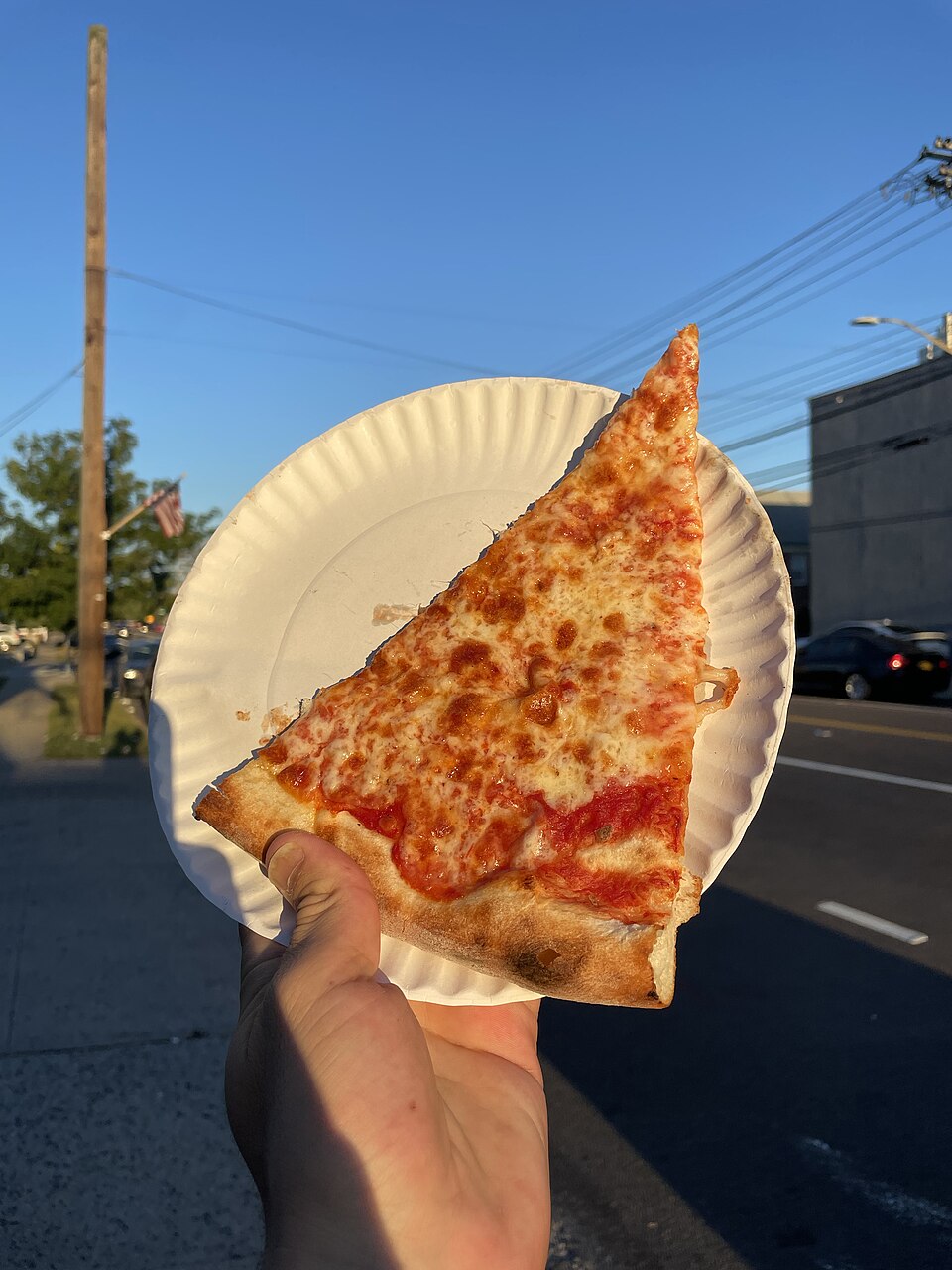 New York Style Pizza