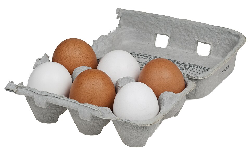 Egg