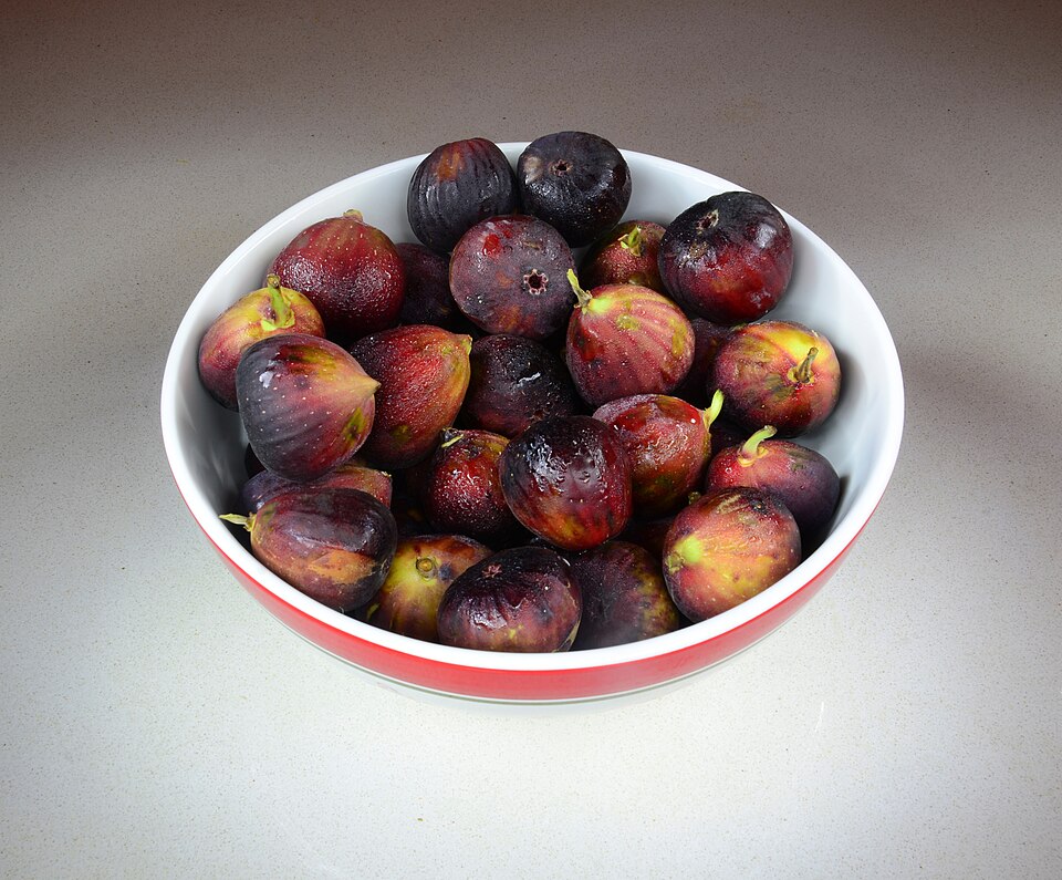 Figs