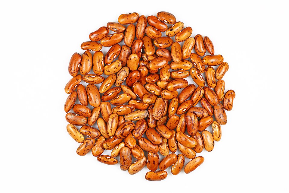 Kidney Beans