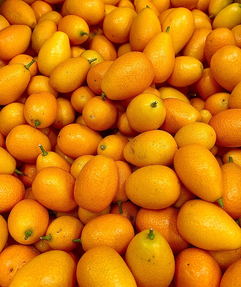Kumquat