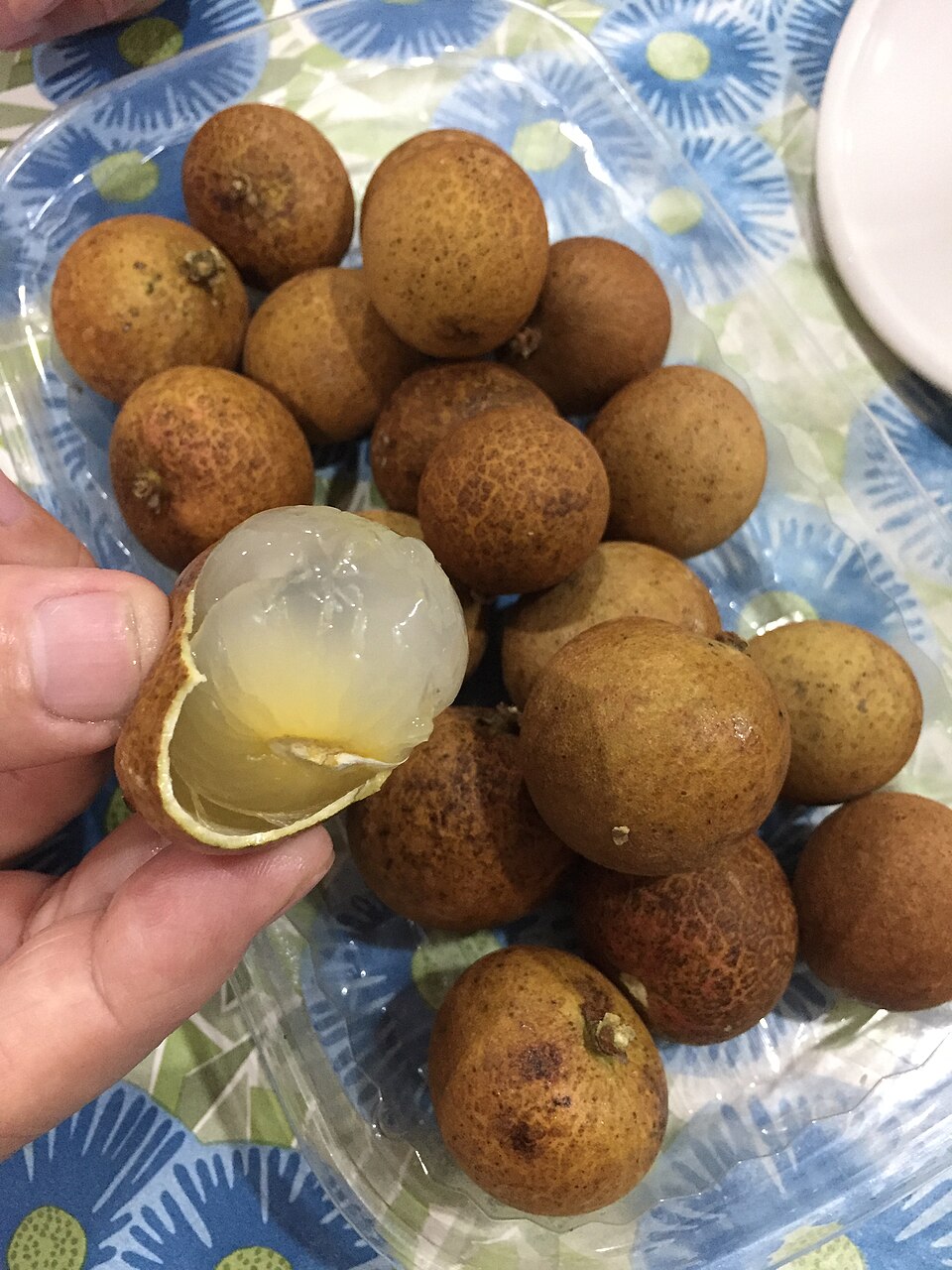 Longan