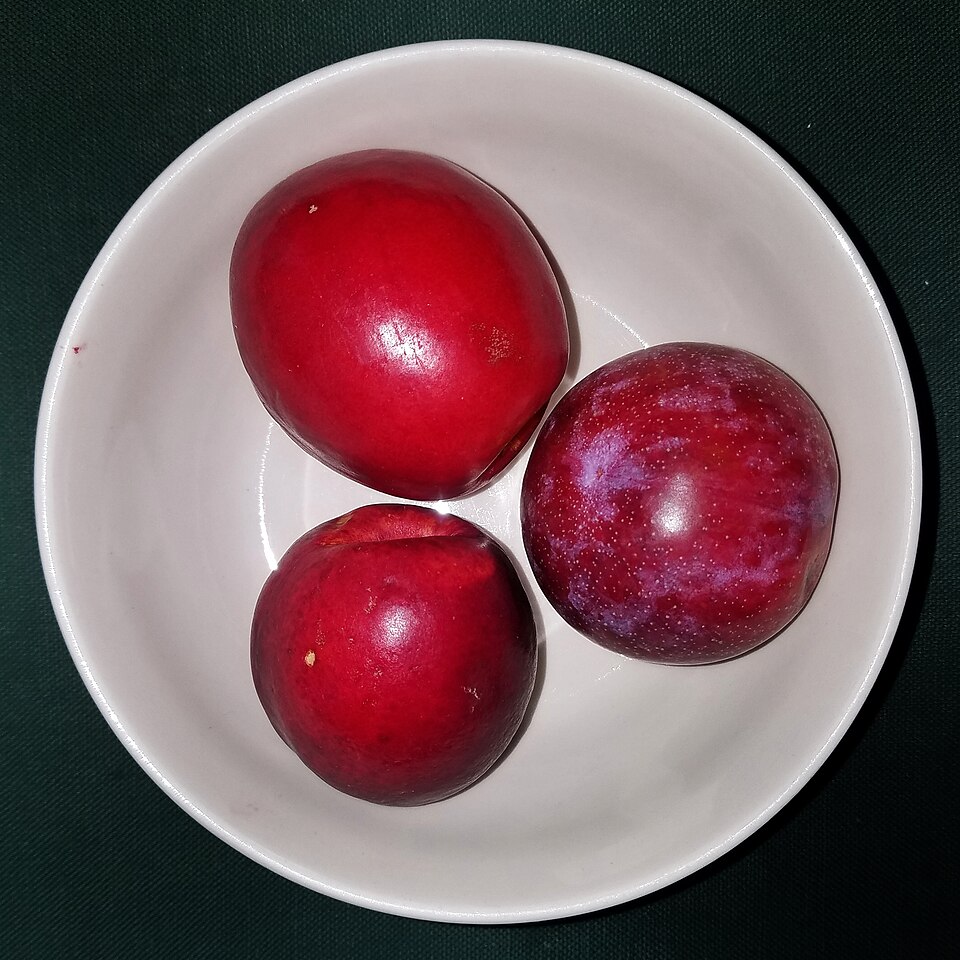 Nectarine