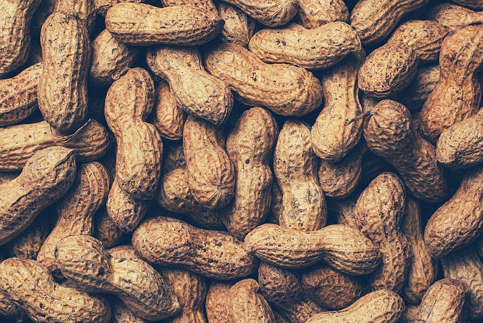 Peanuts
