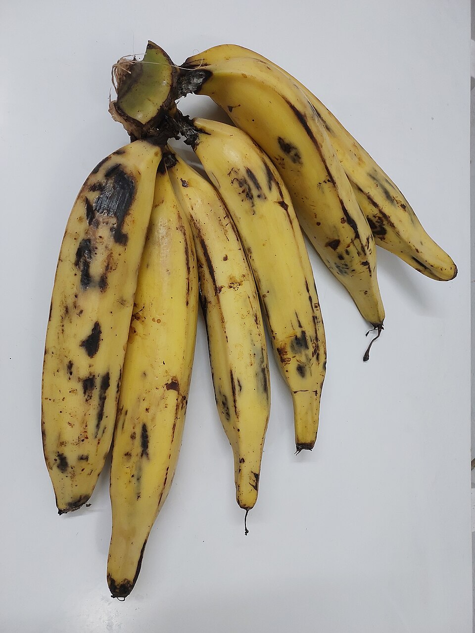 Plantain