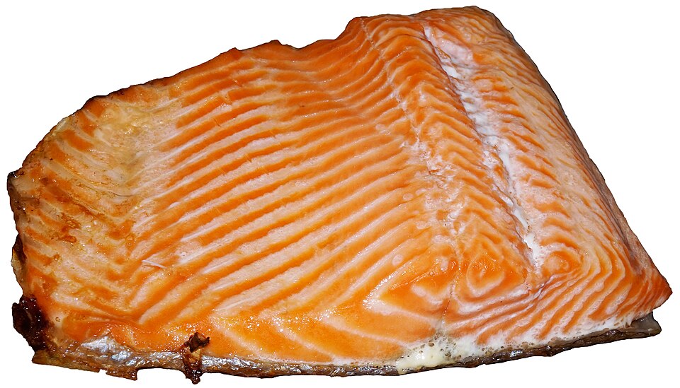 Salmon