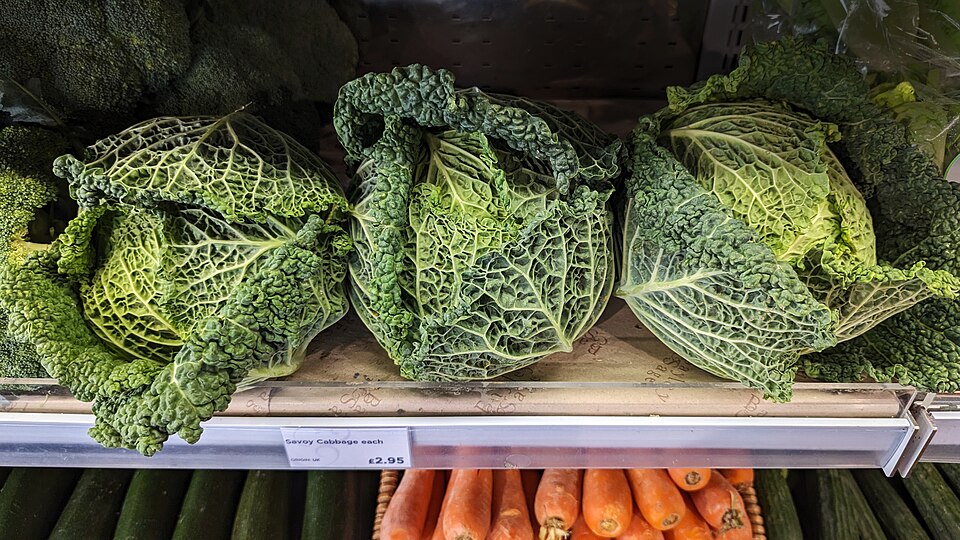 Savoy Cabbage