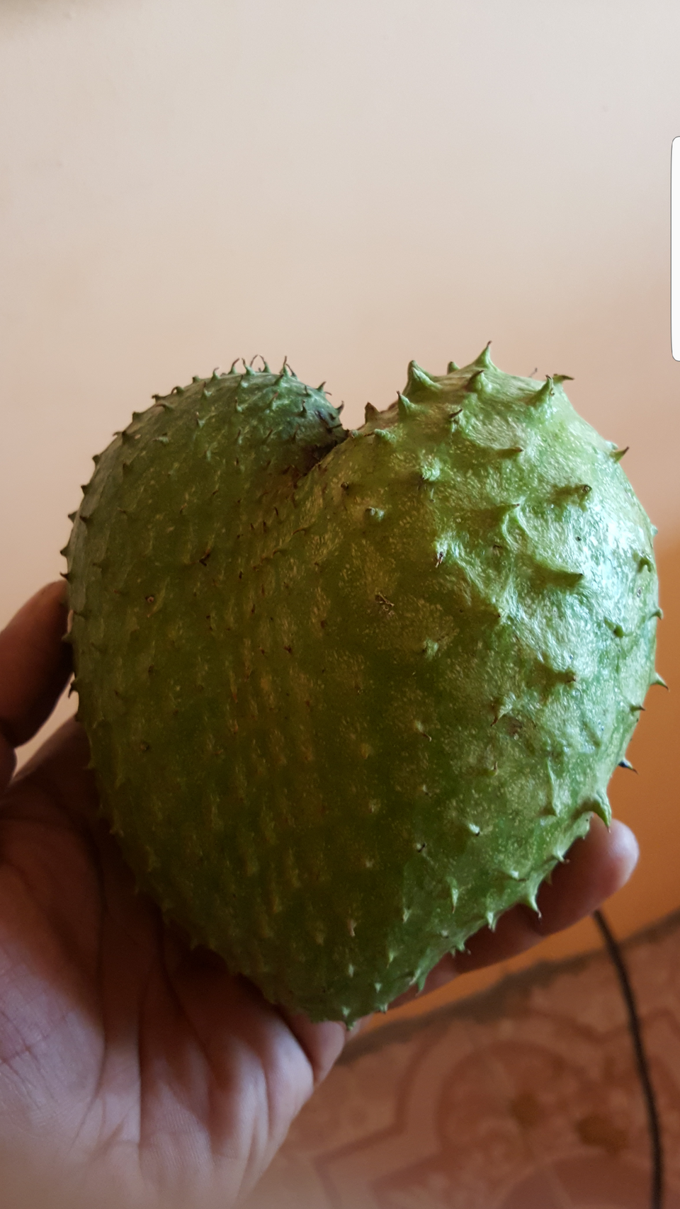 Soursop