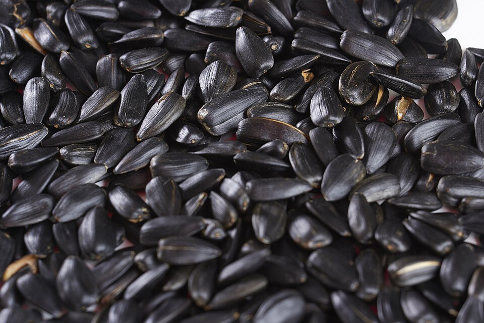Sunflower Seeds