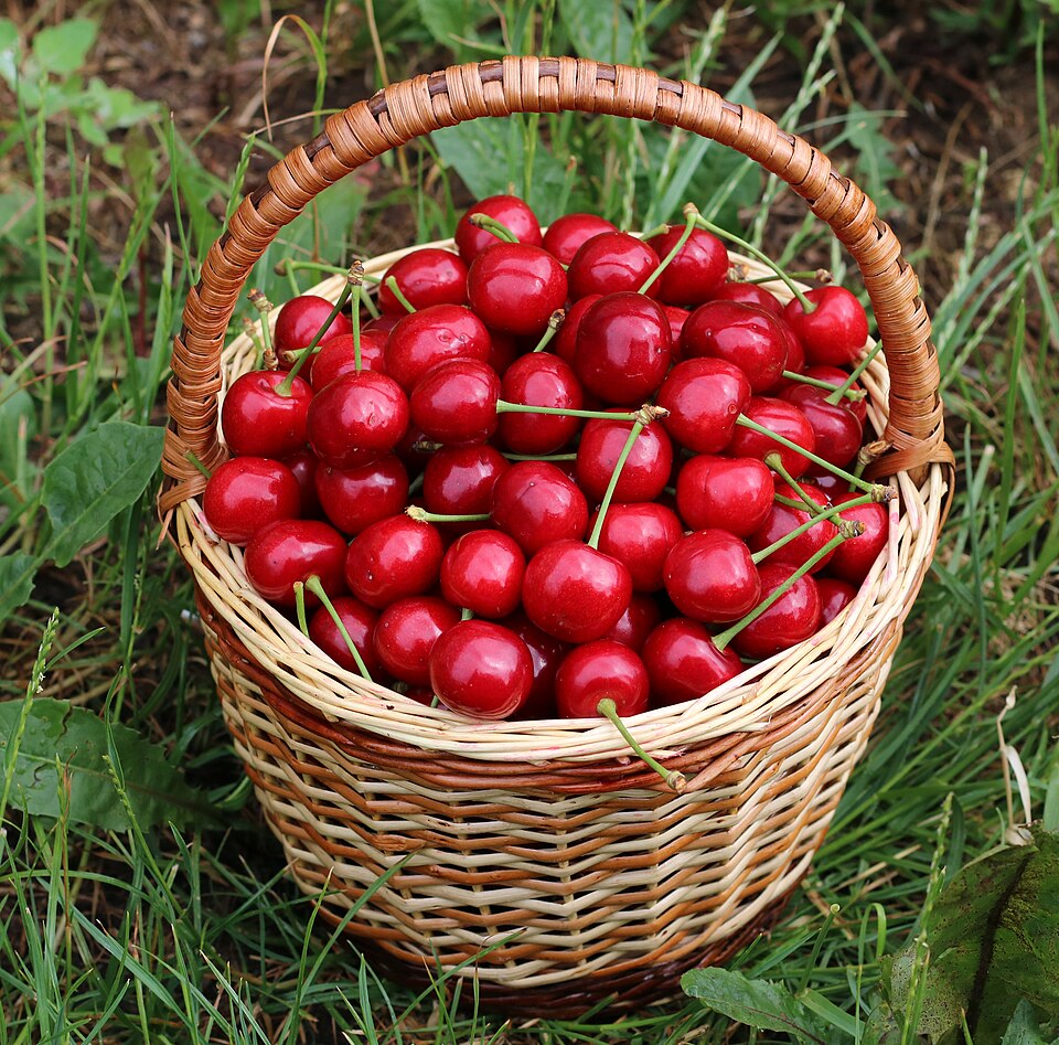 Sweet Cherry